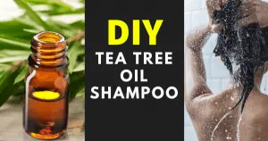 Tea Tree Oil Shampoo fb
