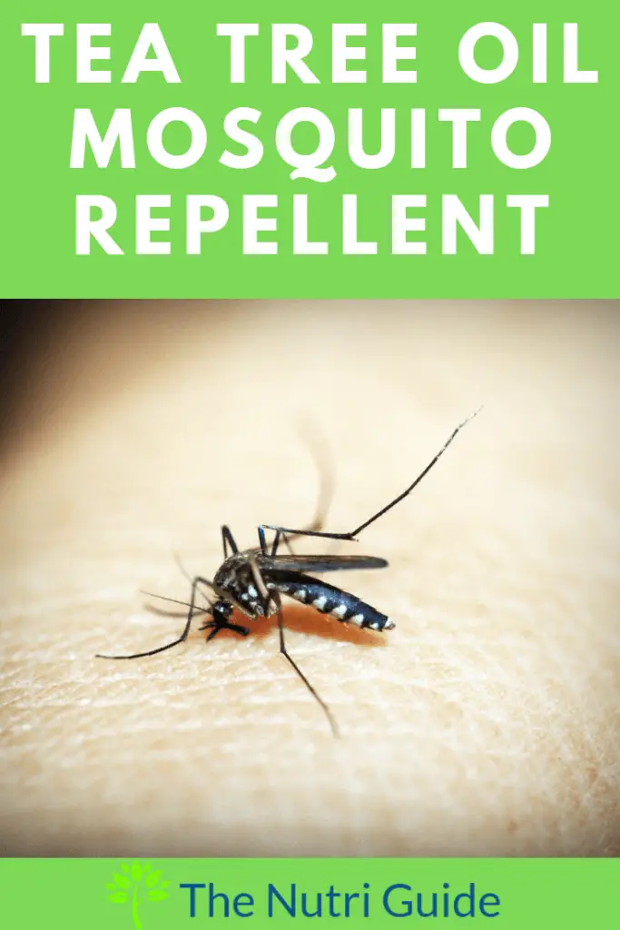 tea tree oil mosquito repellent