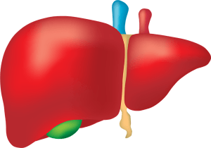 Essential Oils for Fatty Liver pic