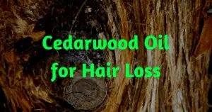 Cedarwood Oil for Hair Loss 1