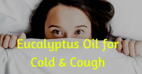 Eucalyptus Oil for Cold & Cough fb