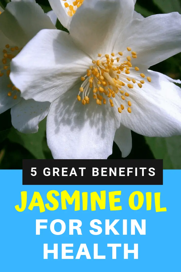Jasmine oil for skin benefits