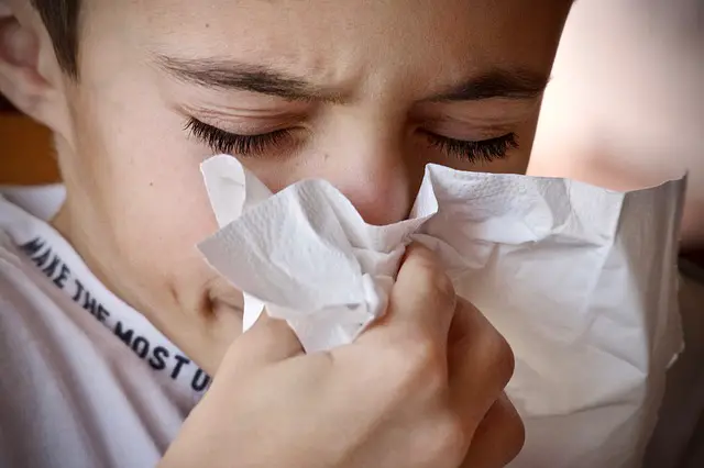 oregano oil for cough