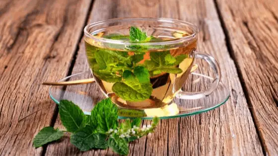 peppermint tea for energy