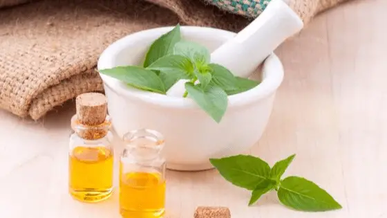 basil oil for adrenal fatigue