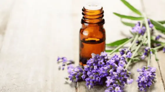 lavender oil for adrenal fatigue