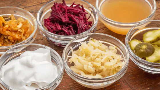 fermented food for digestion