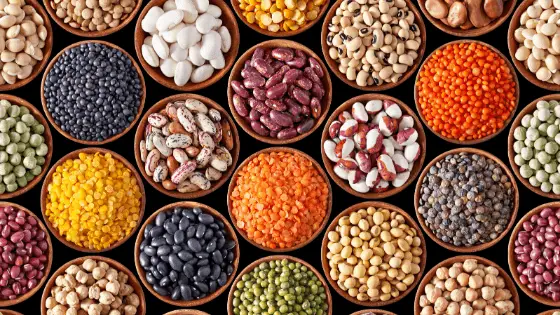 legumes fiber content