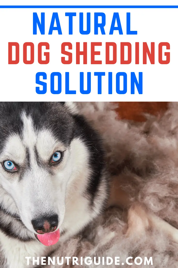 Natural Dog Shedding Solution
