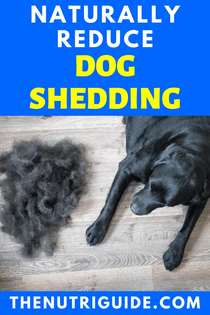 Naturally Reduce Dog Shedding