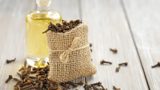 clove oil for hair loss