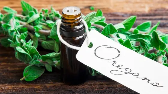 oregano oil for ringworm