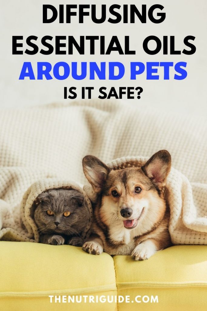 Diffusing Essential Oils Around Dogs & Cats: What's Safe for Your Pet?
