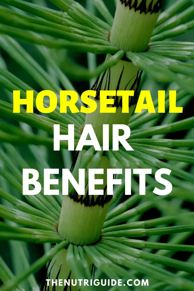 horsetail hair benefits