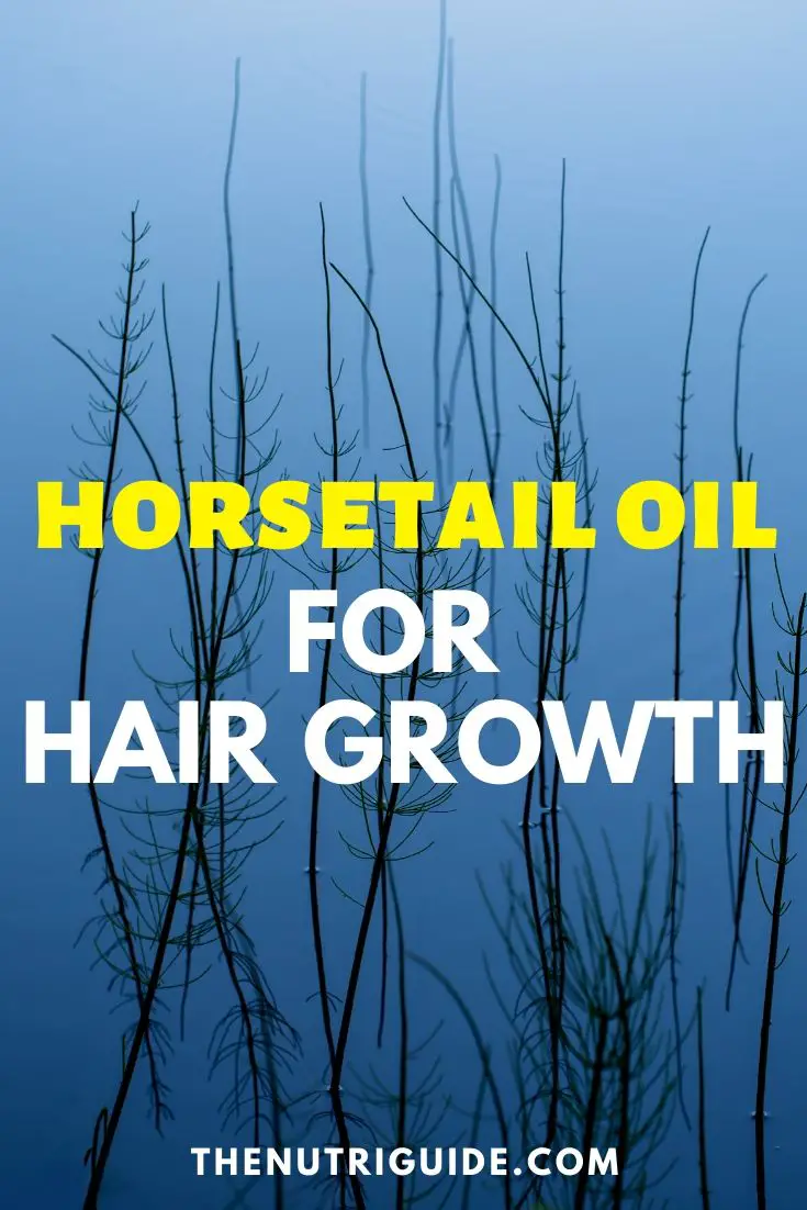 horsetail oil for hair growth