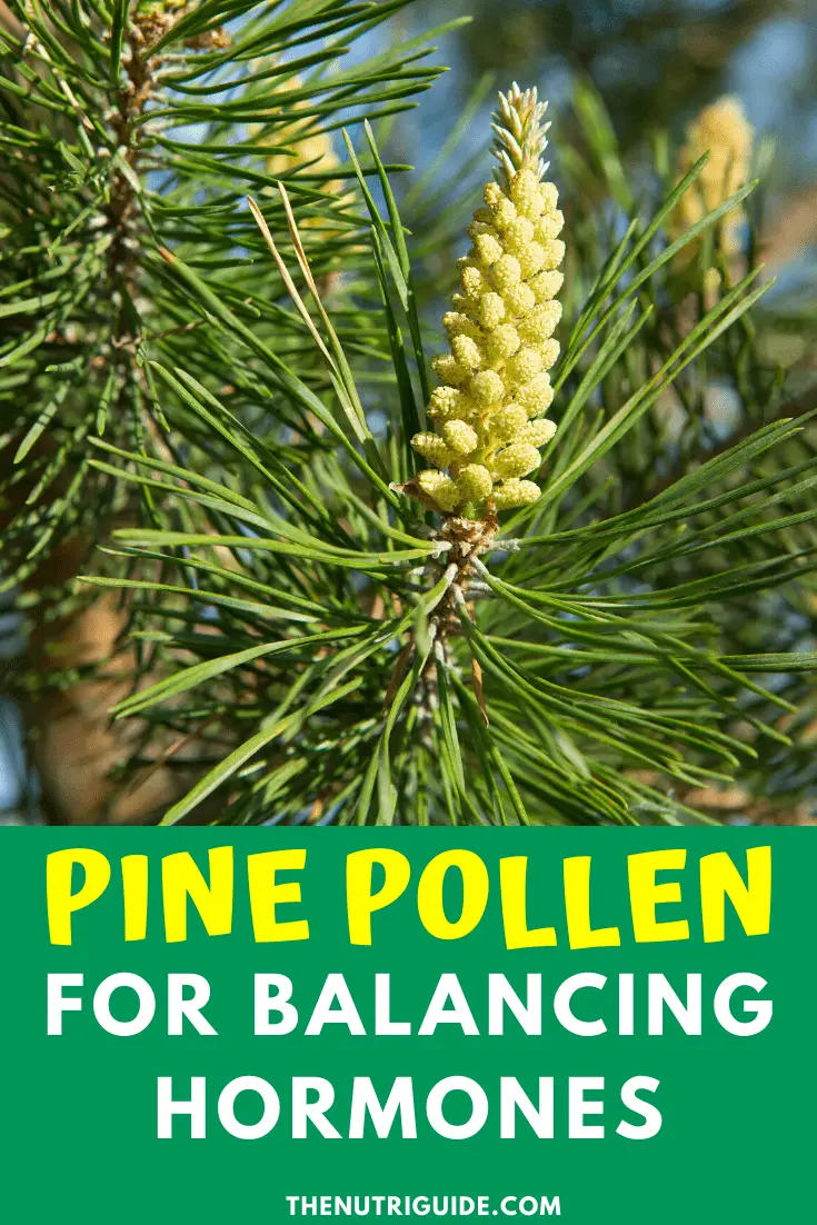 pine pollen for balancing hormones