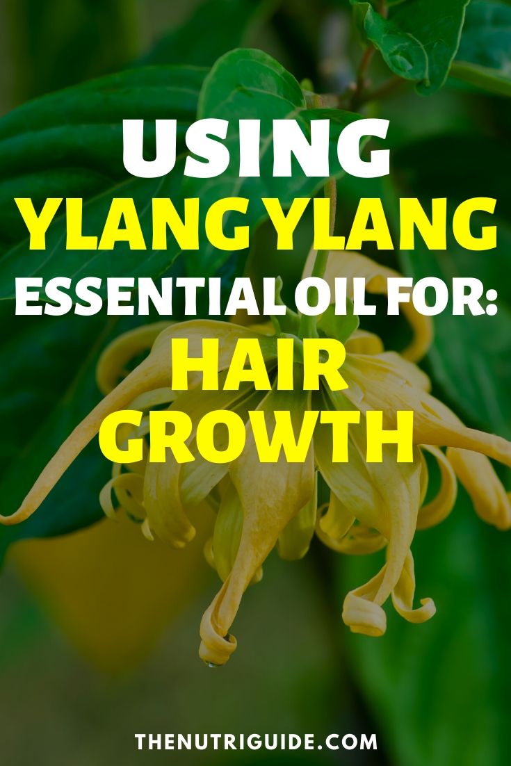 ylang ylang for hair growth