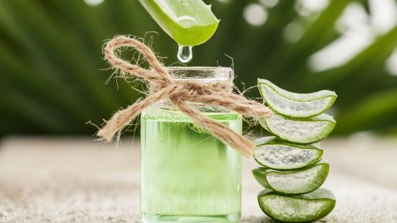 aloe juice for hair